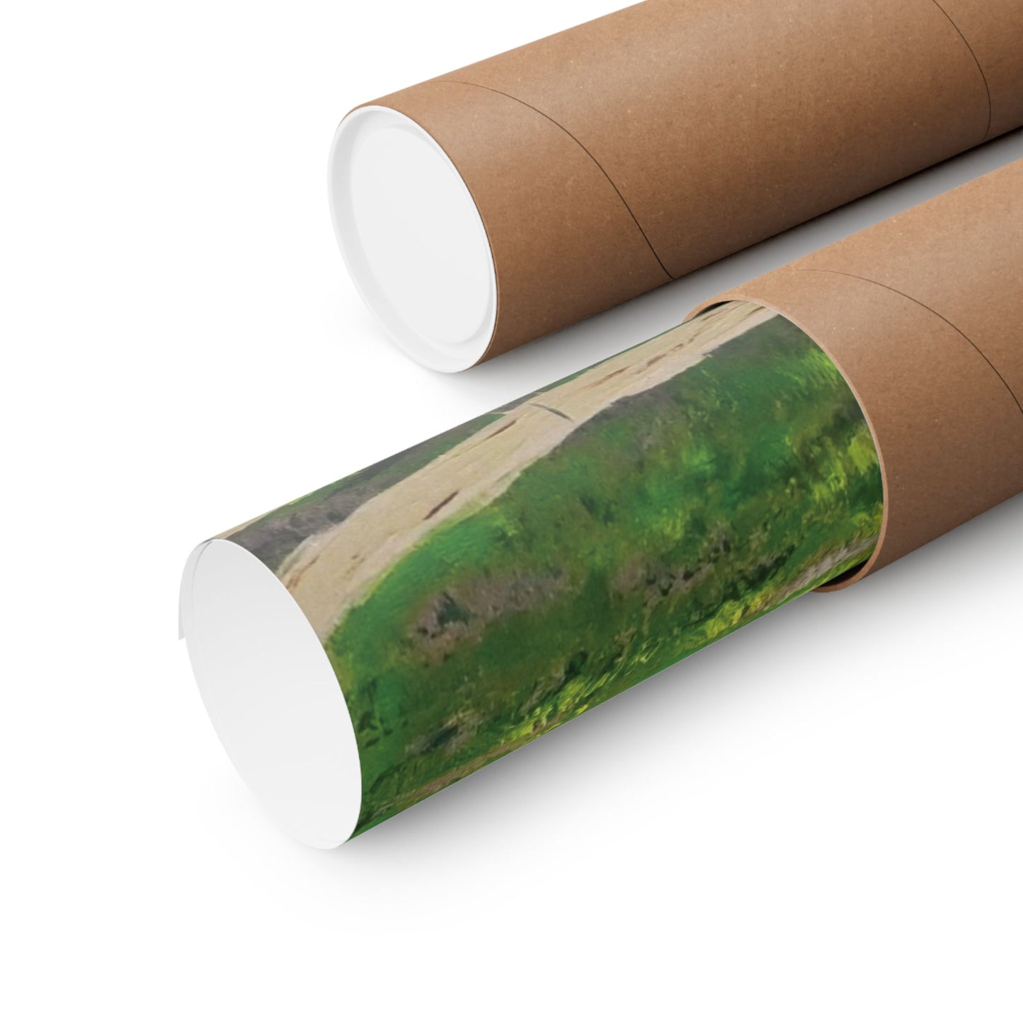 Serene Horse Landscape Matte Poster