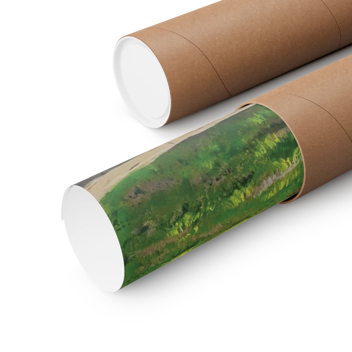 Serene Horse Landscape Matte Poster